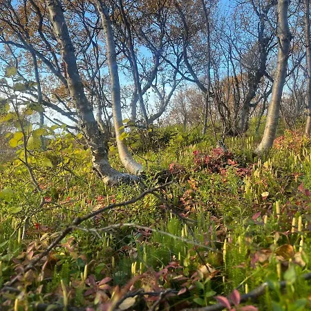 Romslig Hus Naer Varangerfjorden Prázdninový dům *